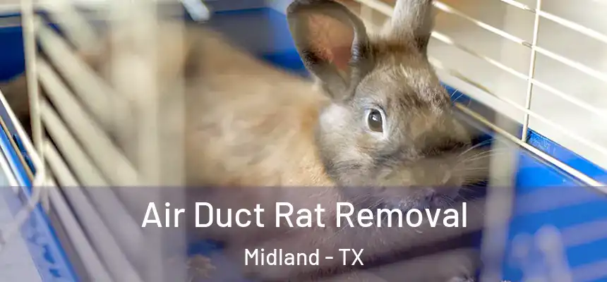 Air Duct Rat Removal Midland - TX