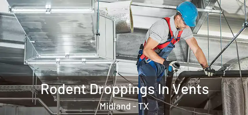  Rodent Droppings In Vents Midland - TX