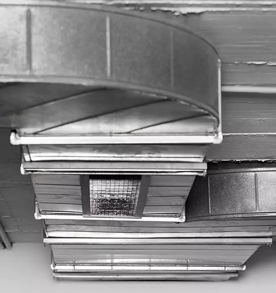 Professional Air Duct Pest Removal in Midland, TX