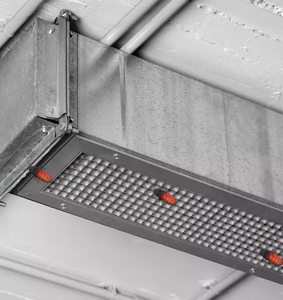 Affordable Insect Removal from Air Ducts in Midland, TX