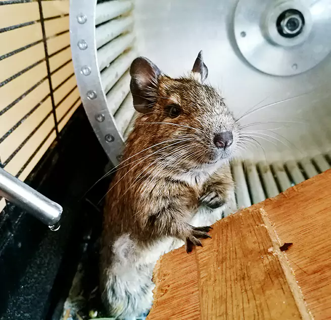 Why Homeowners & Businesses Trust Us Midland, TX